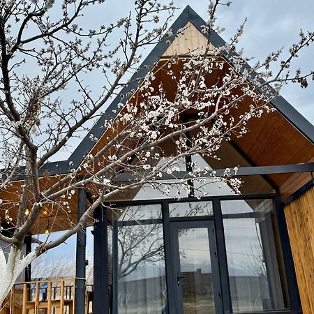 Coral Houses Tossor المظهر الخارجي الصورة